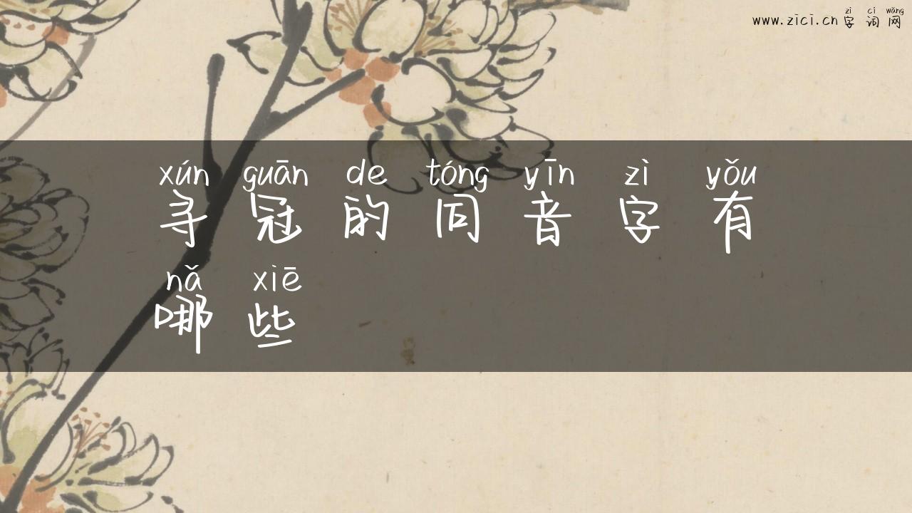 寻冠的同音字有哪些