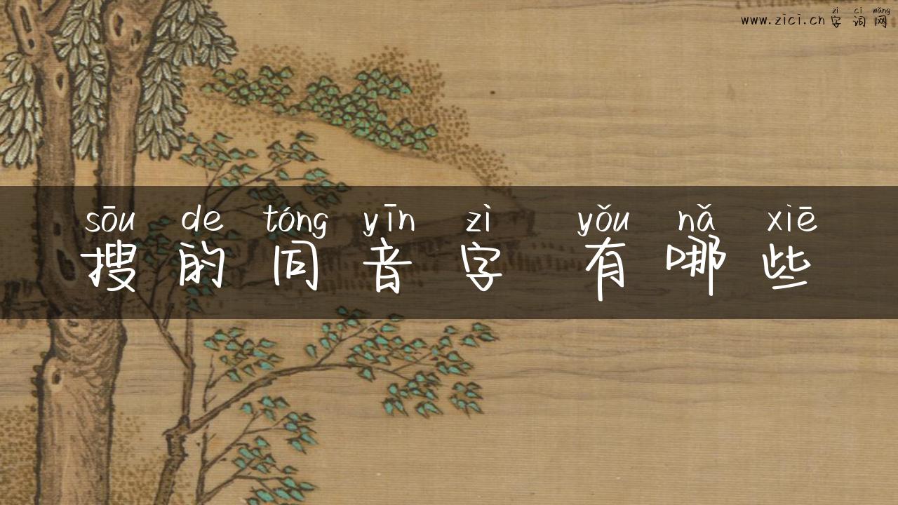 搜的同音字 有哪些