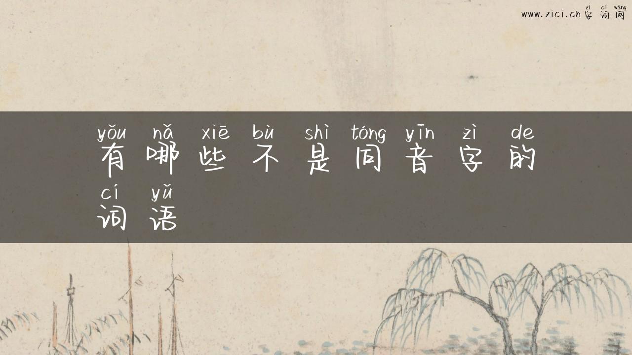 有哪些不是同音字的词语