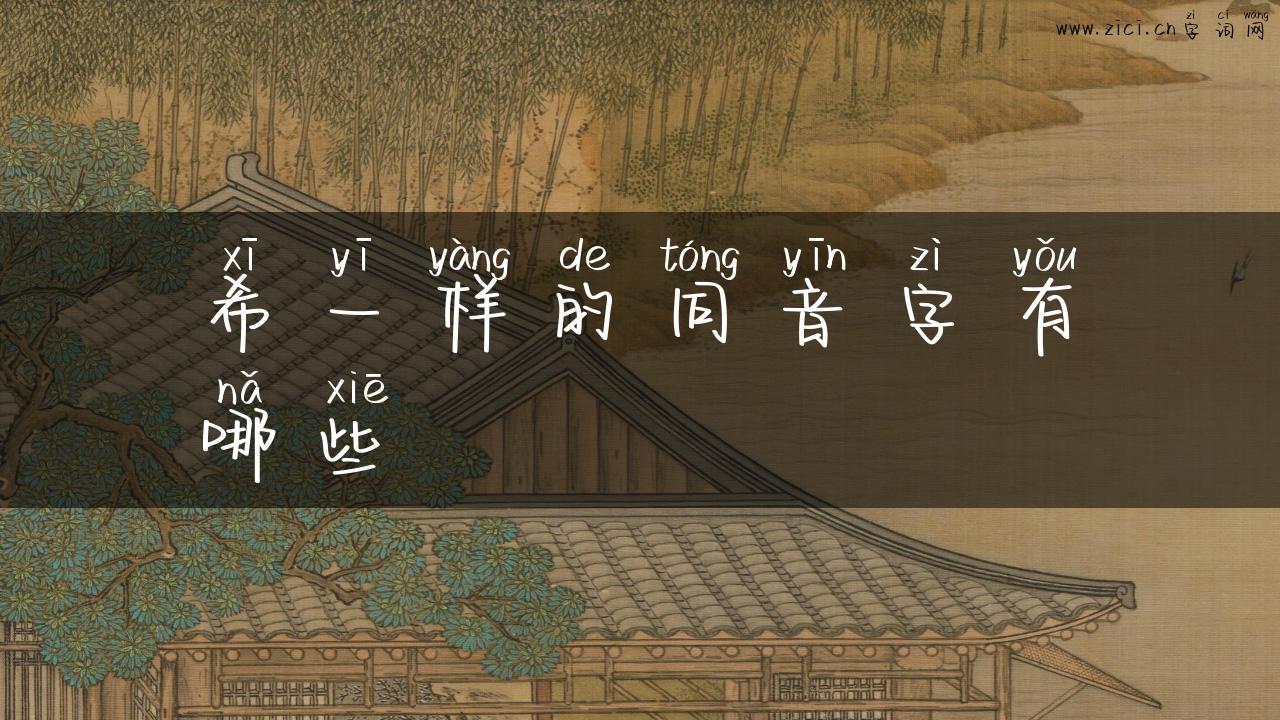 希一样的同音字有哪些