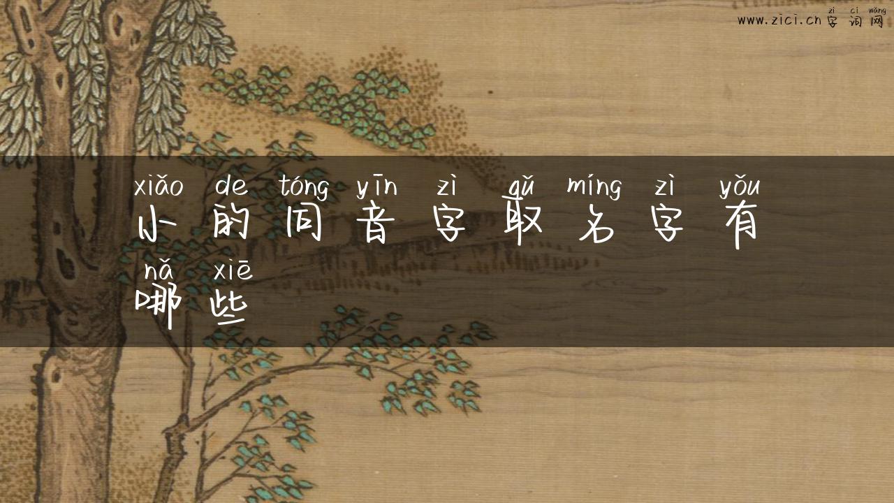 小的同音字取名字有哪些
