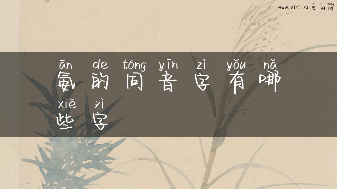 氨的同音字有哪些字