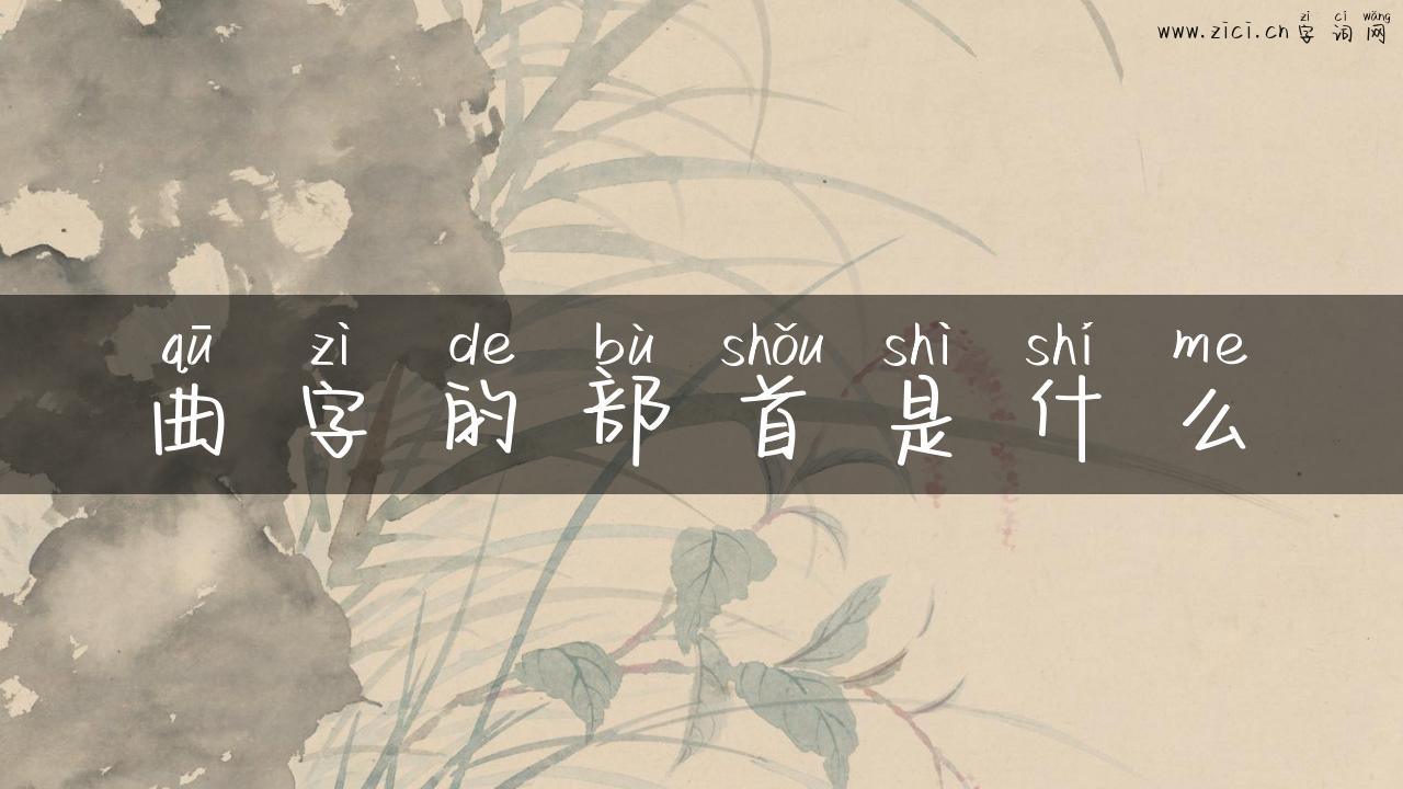 曲字的部首是什么