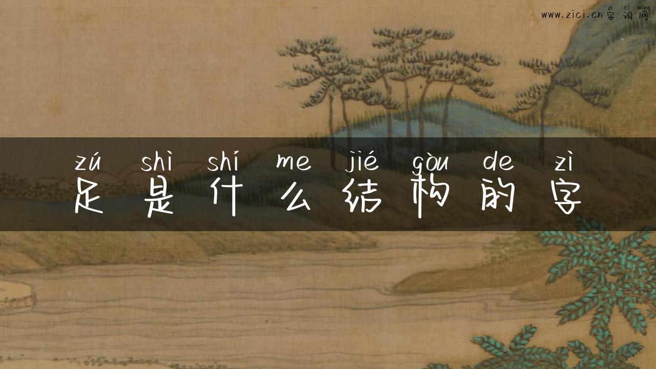 足是什么结构的字