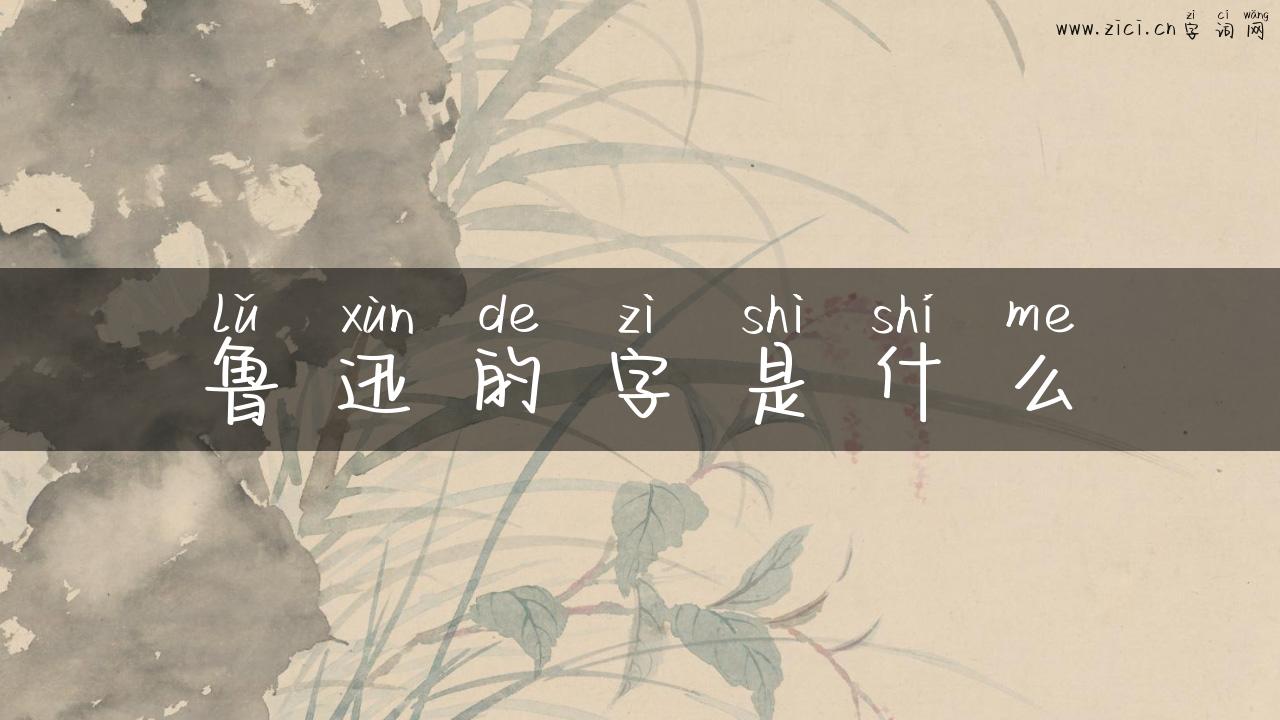 鲁迅的字是什么