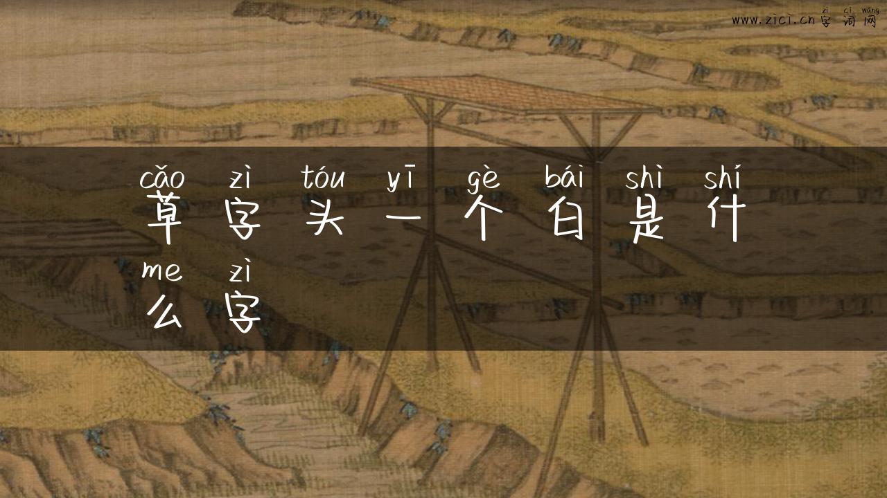 草字头一个白是什么字