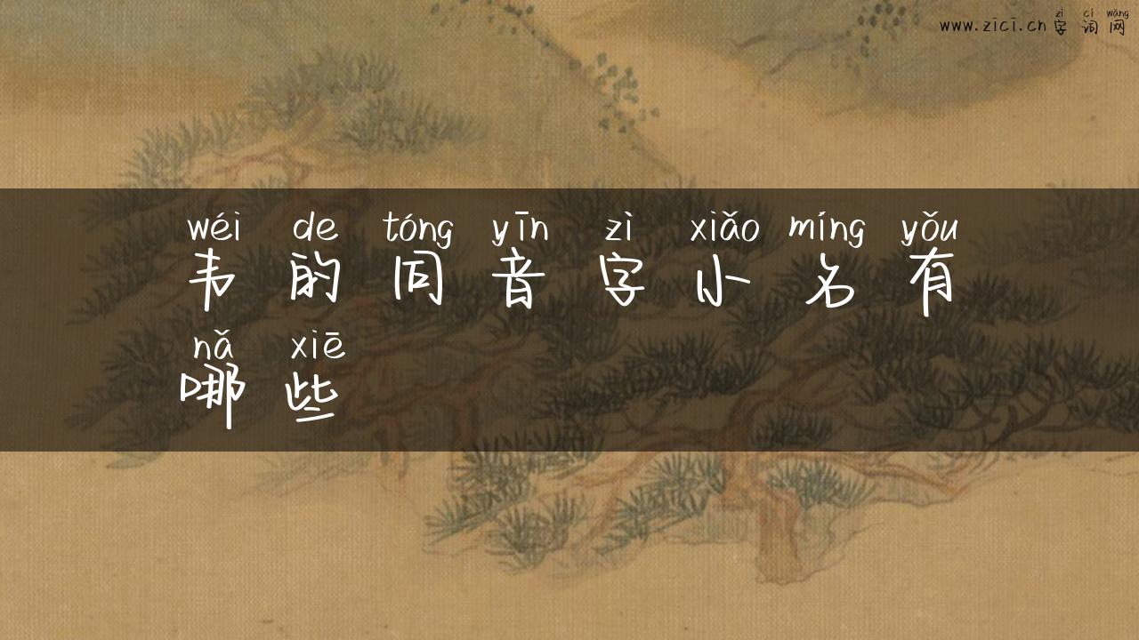 韦的同音字小名有哪些