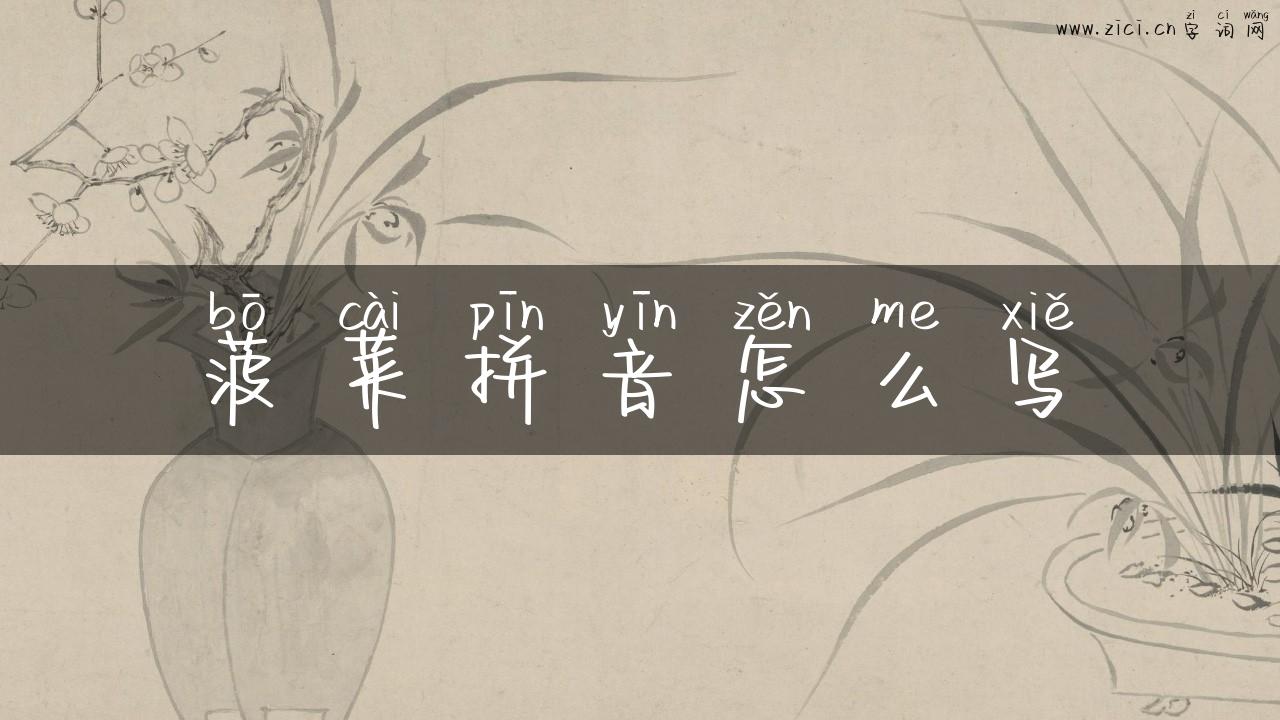 菠菜拼音怎么写