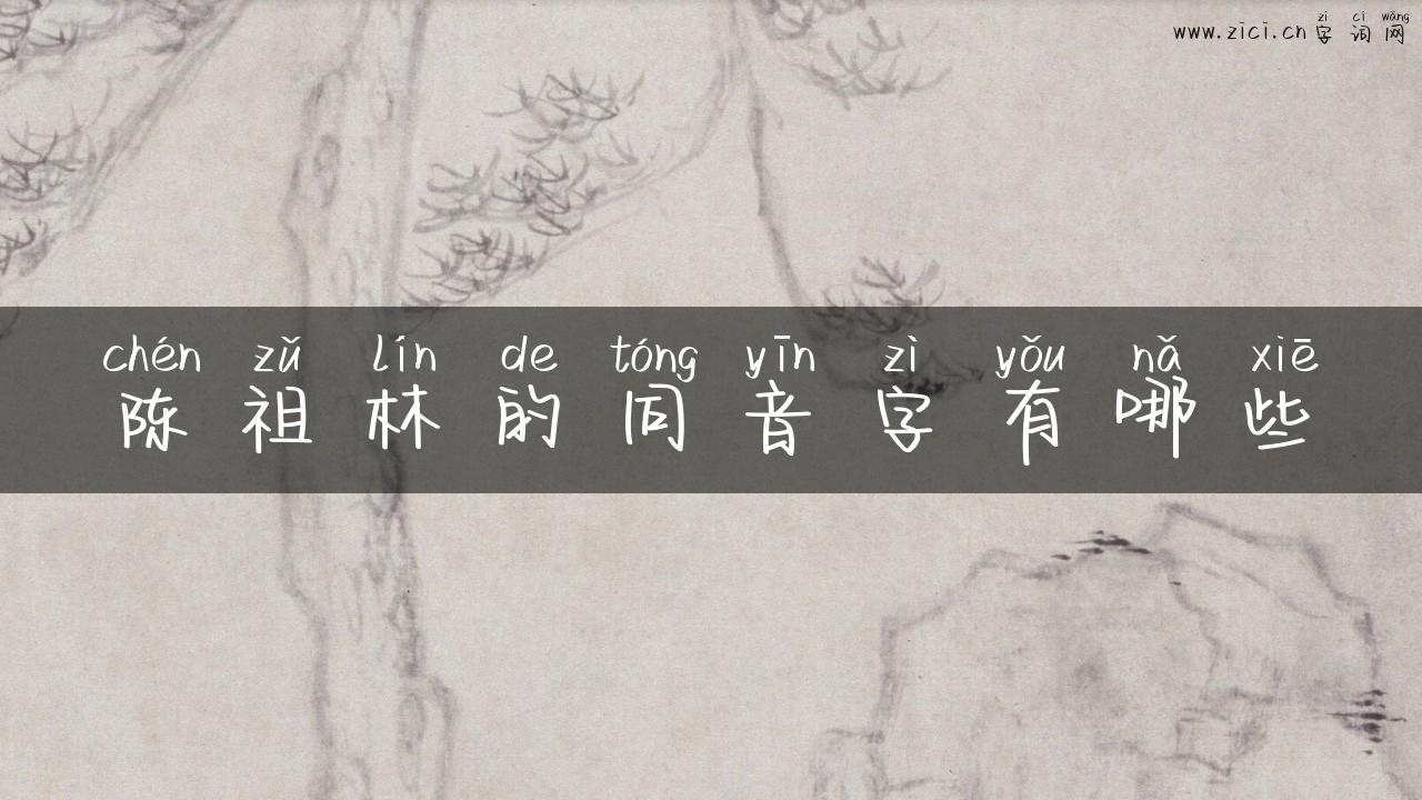 陈祖林的同音字有哪些