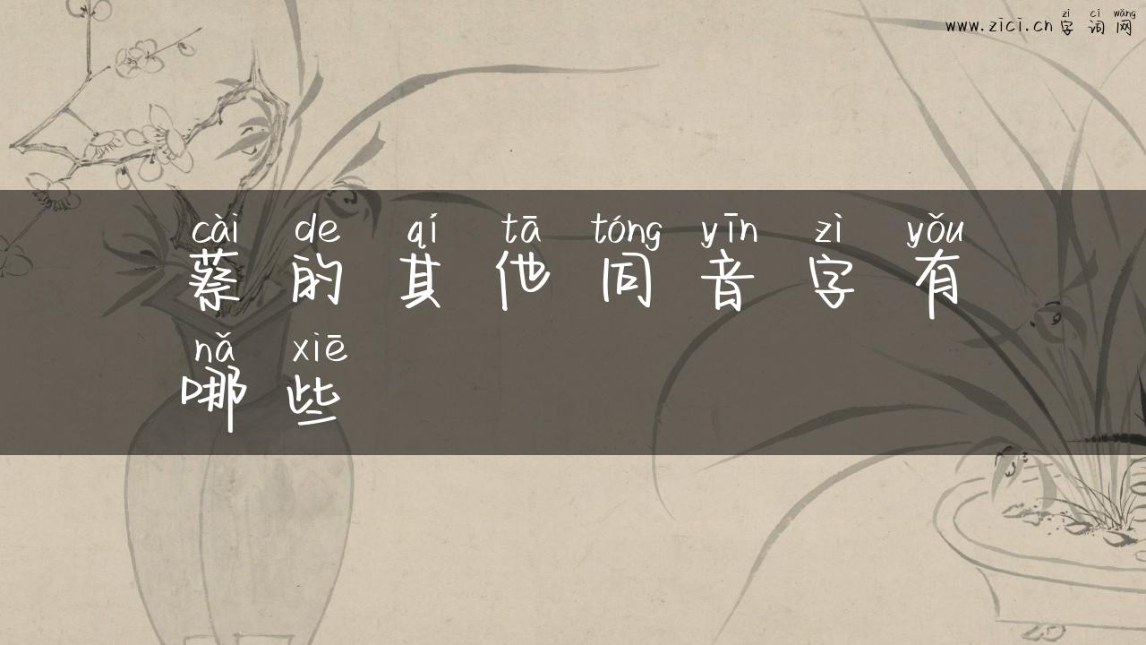 蔡的其他同音字有哪些
