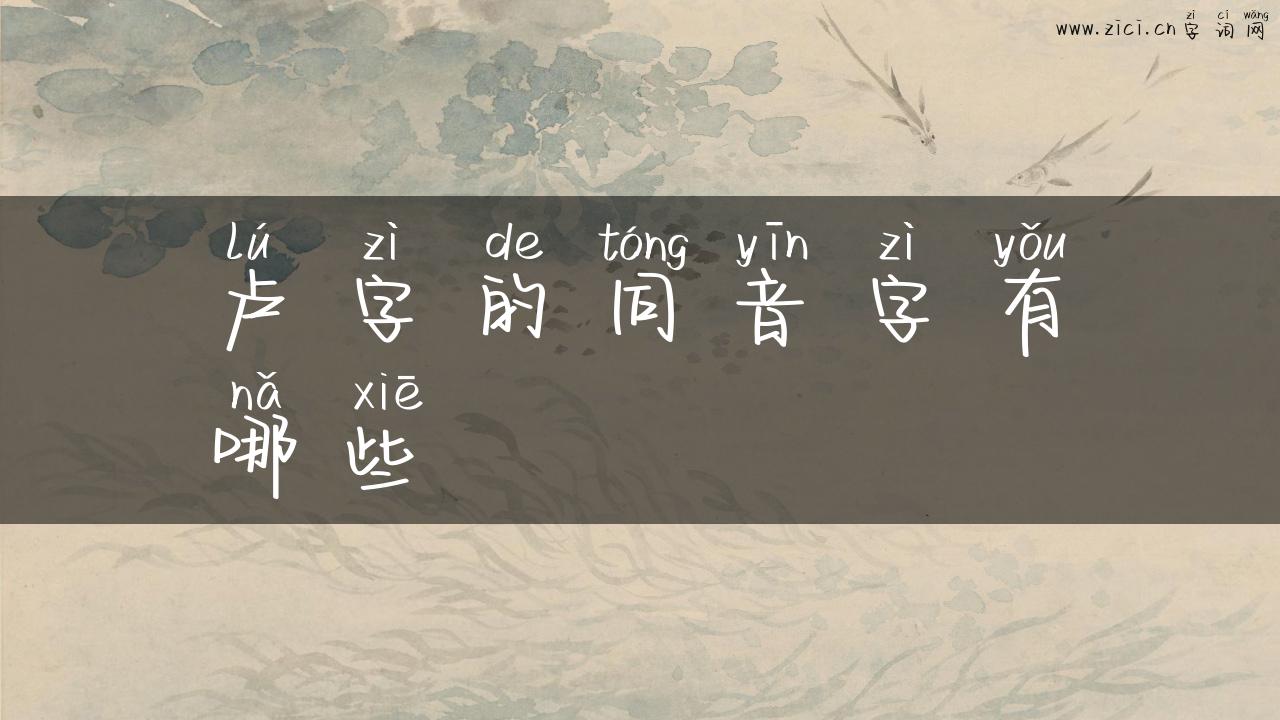 卢字的同音字有哪些
