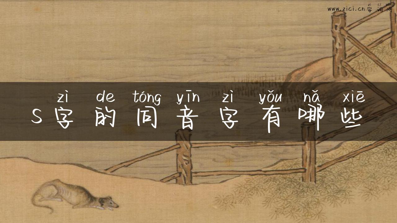 s字的同音字有哪些