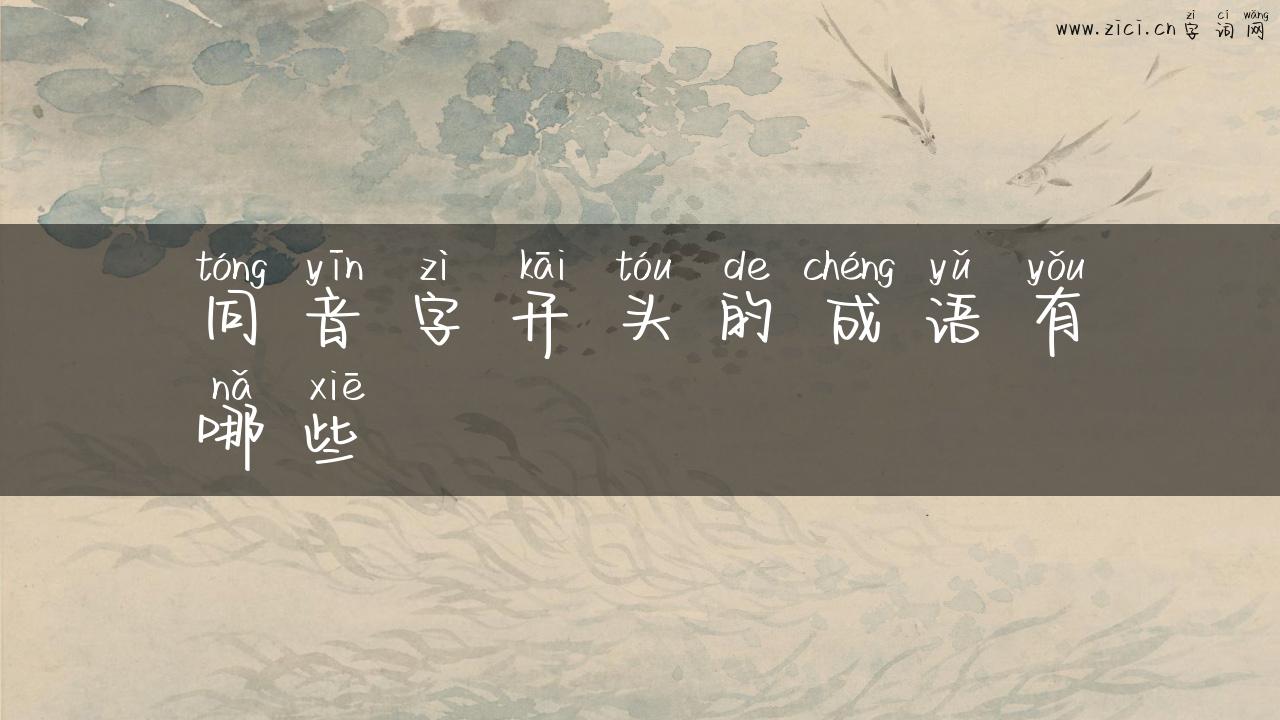 同音字开头的成语有哪些