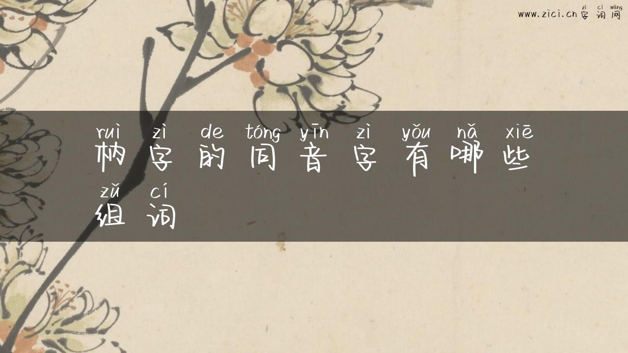 枘字的同音字有哪些组词