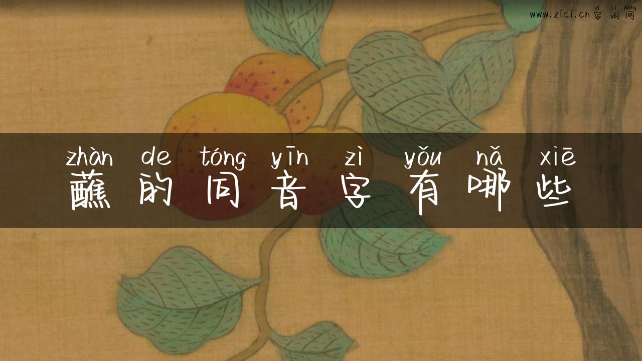 蘸的同音字有哪些