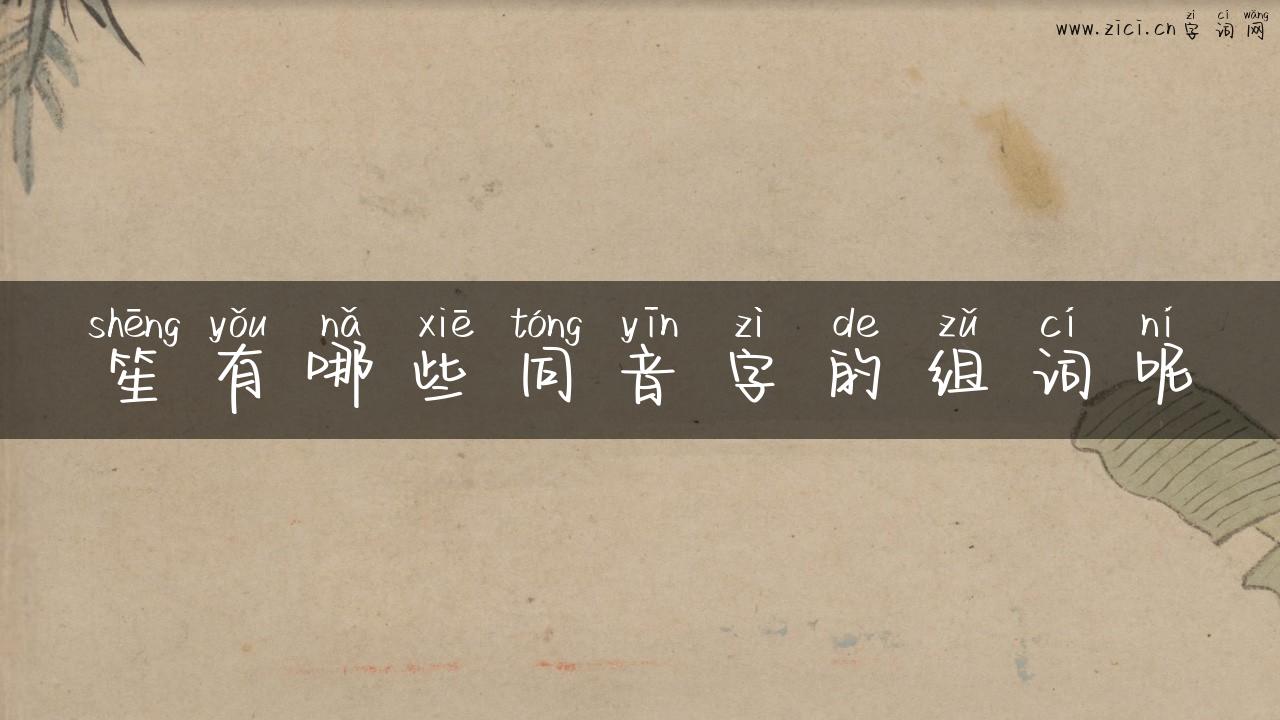笙有哪些同音字的组词呢