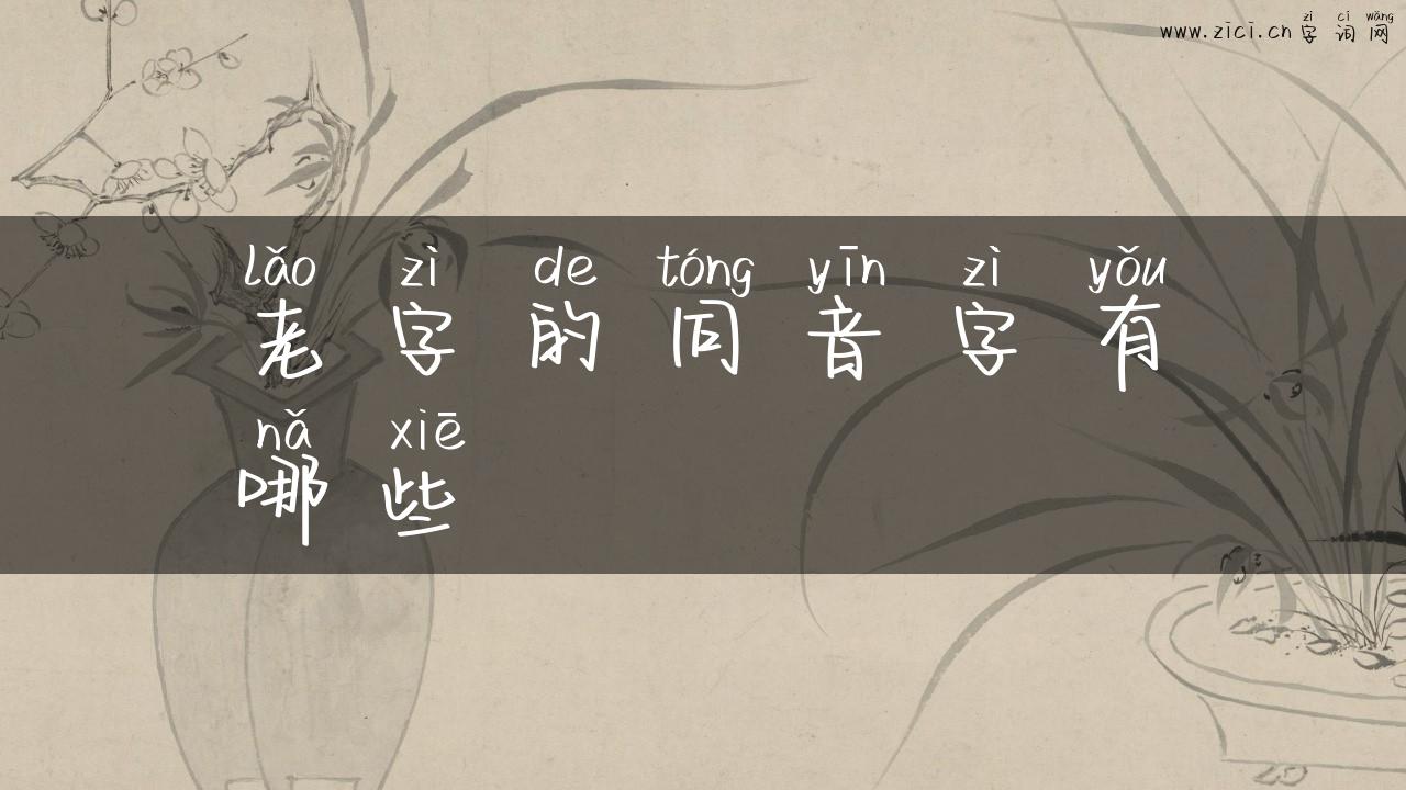 老字的同音字有哪些