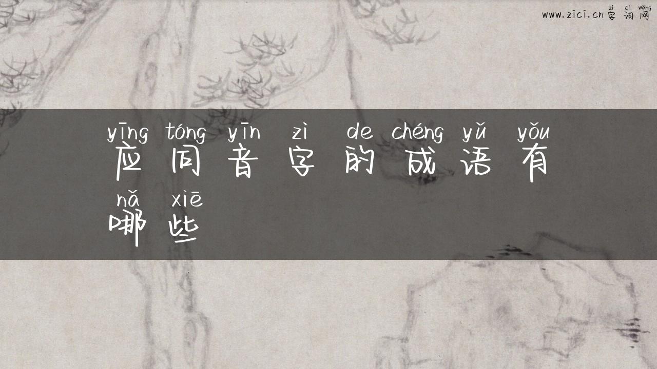 应同音字的成语有哪些
