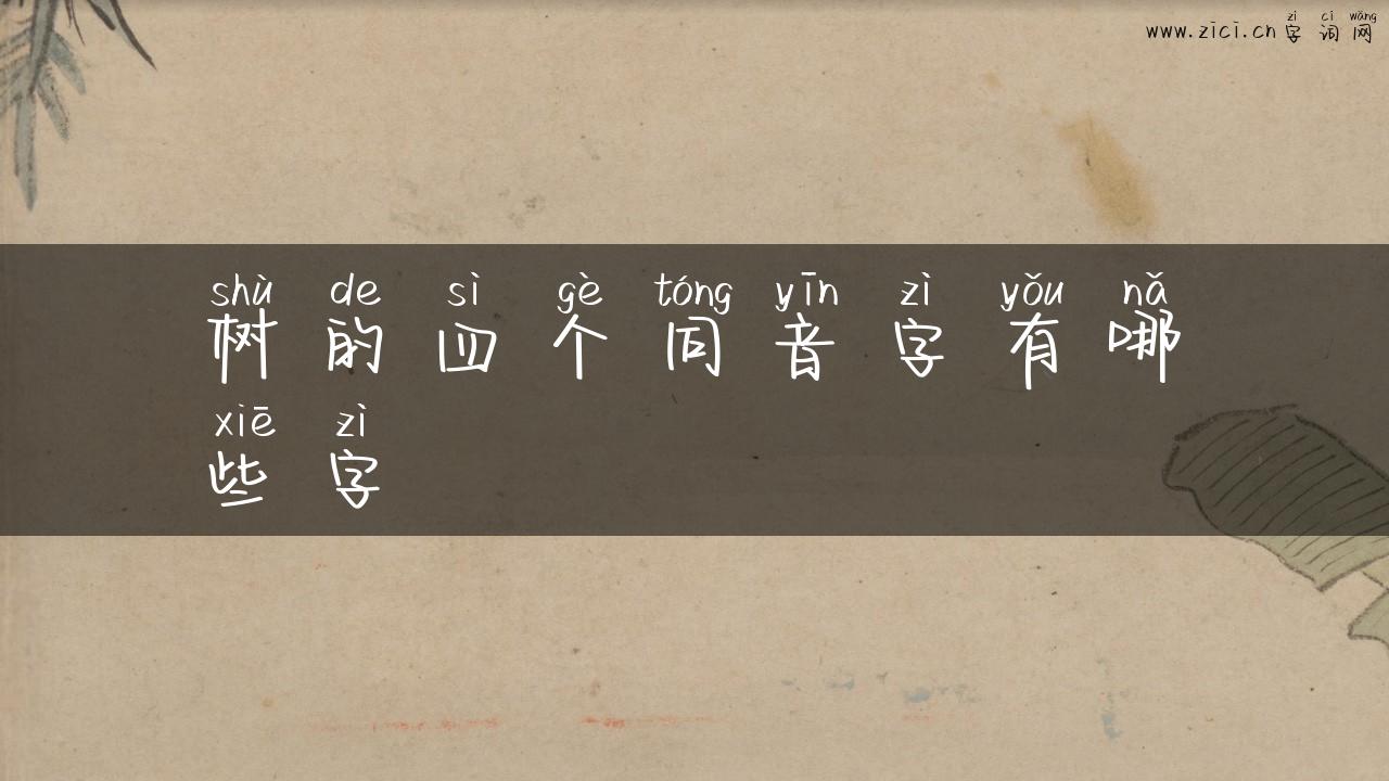 树的四个同音字有哪些字
