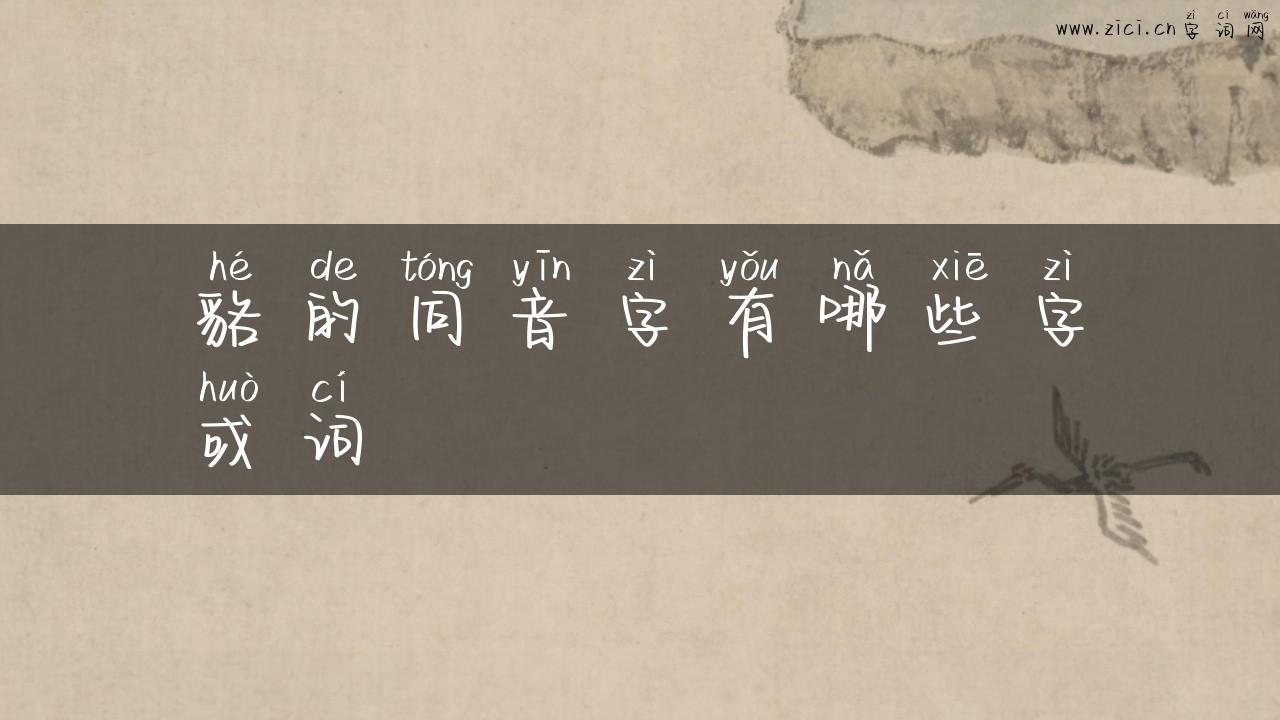 貉的同音字有哪些字或词
