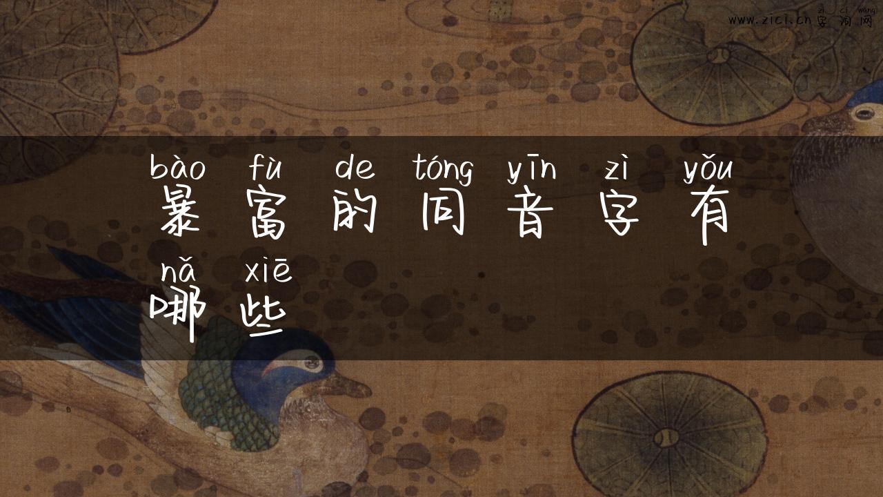 暴富的同音字有哪些
