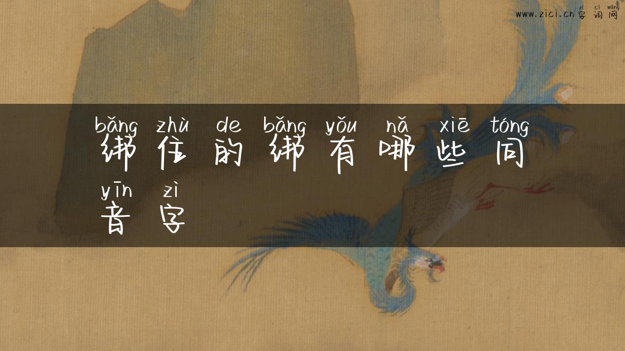 绑住的绑有哪些同音字