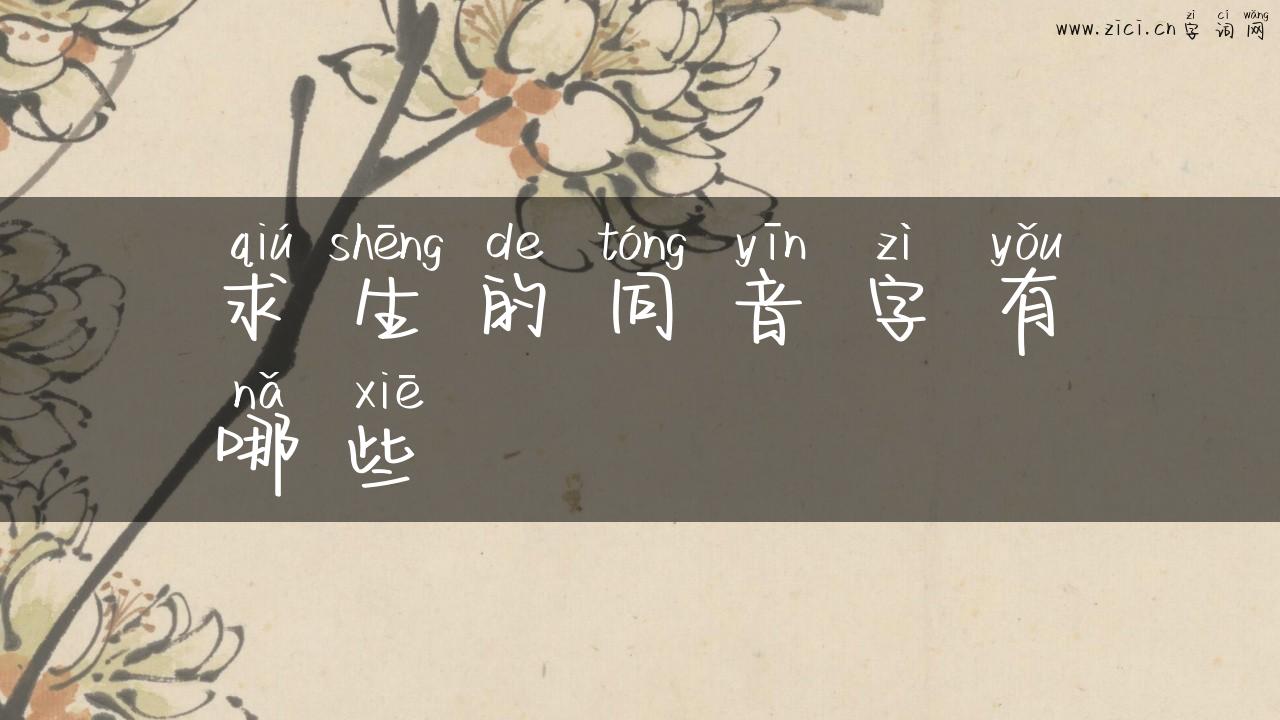 求生的同音字有哪些