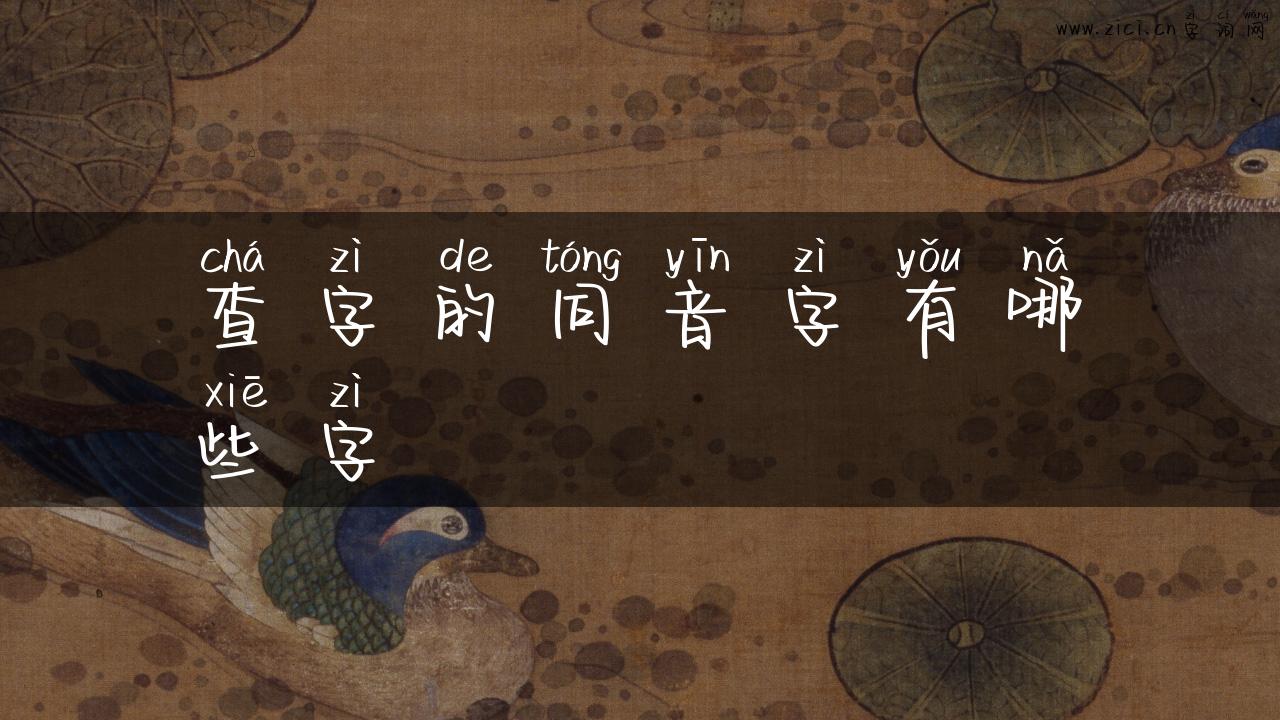 查字的同音字有哪些字