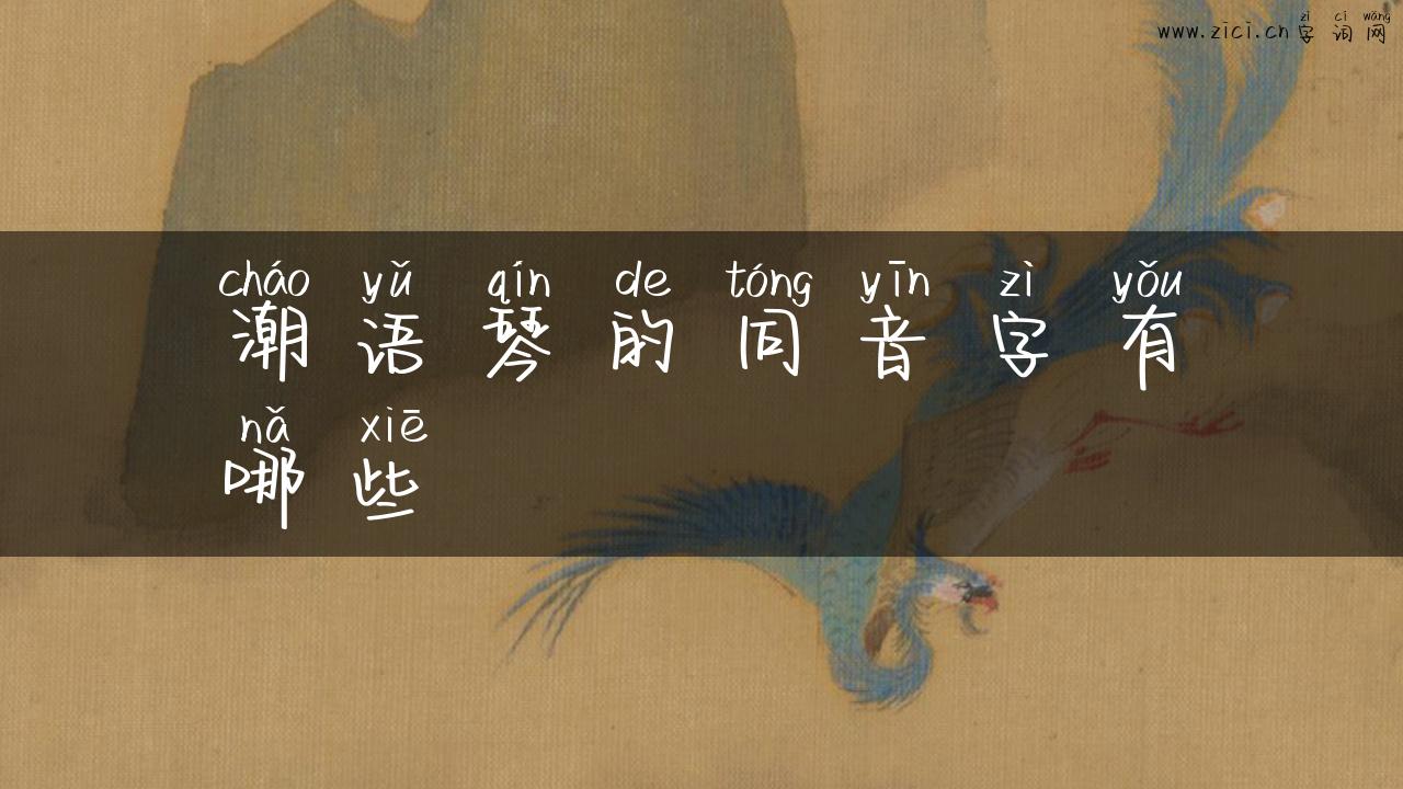 潮语琴的同音字有哪些
