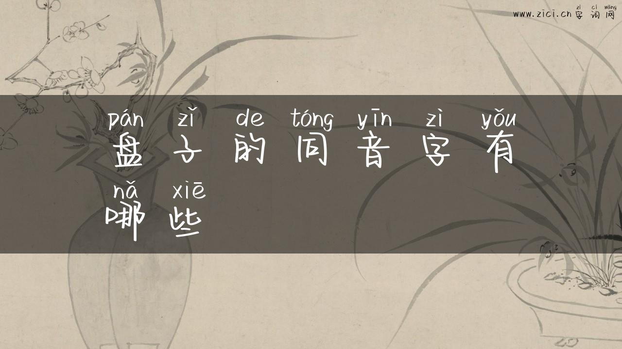 盘子的同音字有哪些