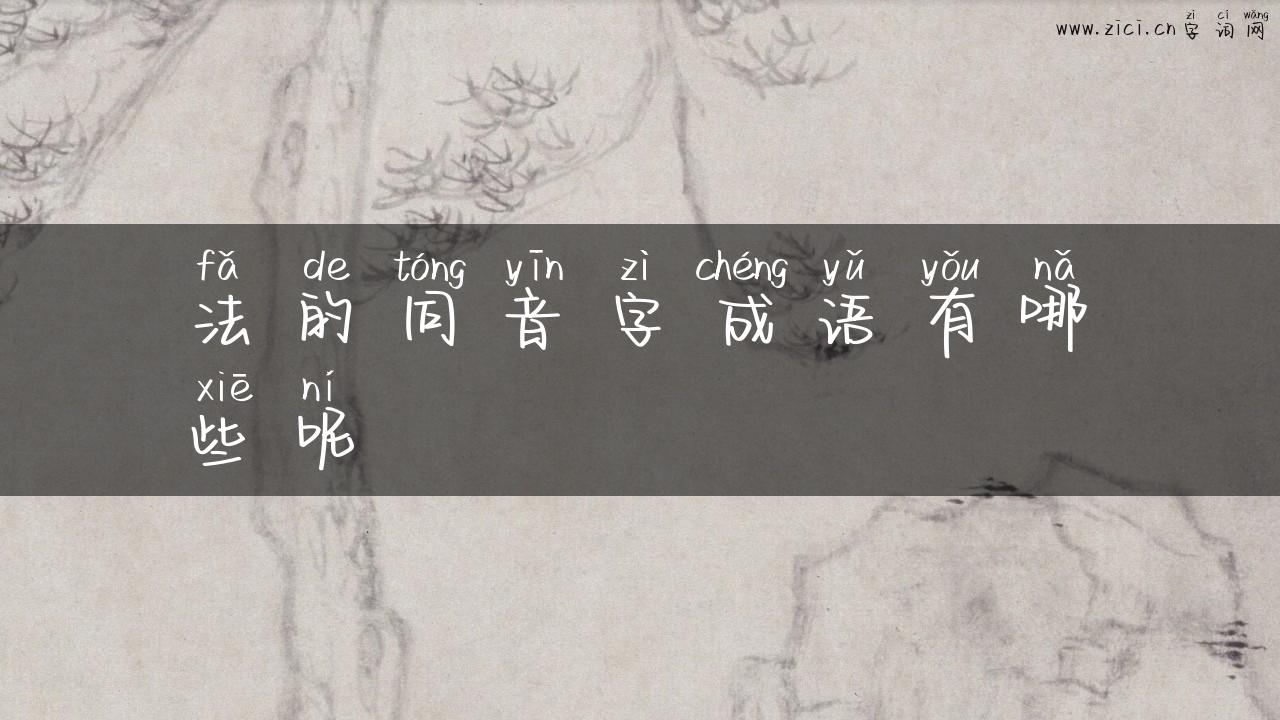 法的同音字成语有哪些呢