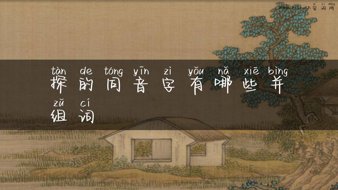 探的同音字有哪些并组词