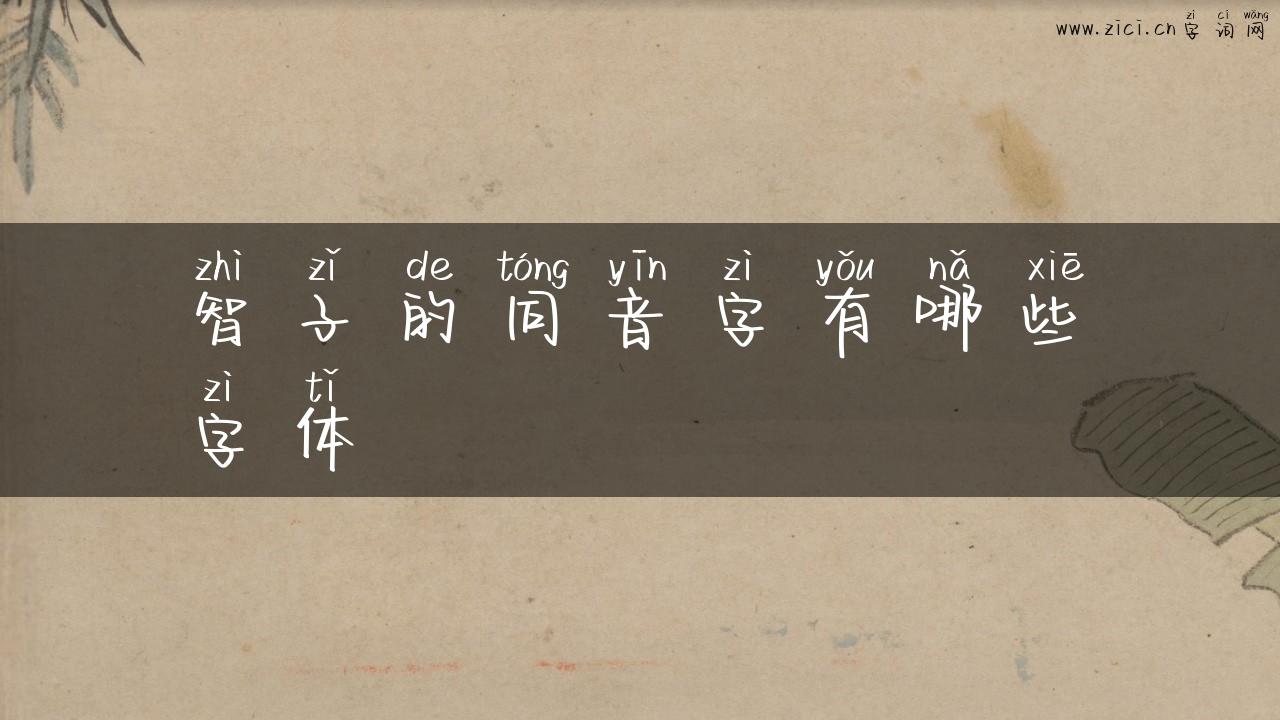 智子的同音字有哪些字体