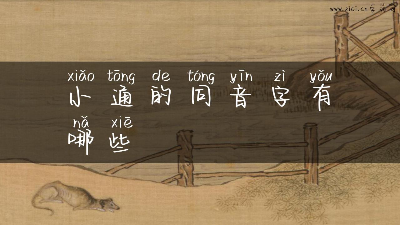 小通的同音字有哪些
