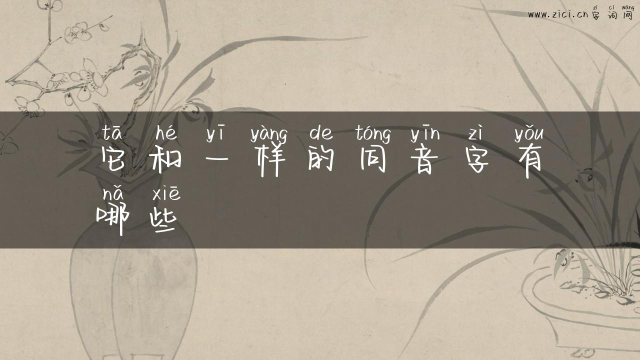 它和一样的同音字有哪些