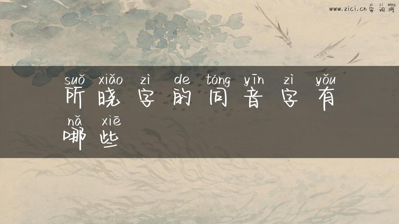 所晓字的同音字有哪些