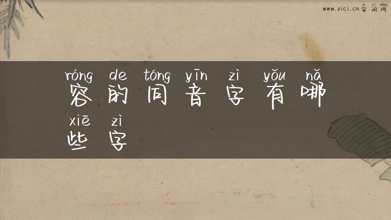 容的同音字有哪些字