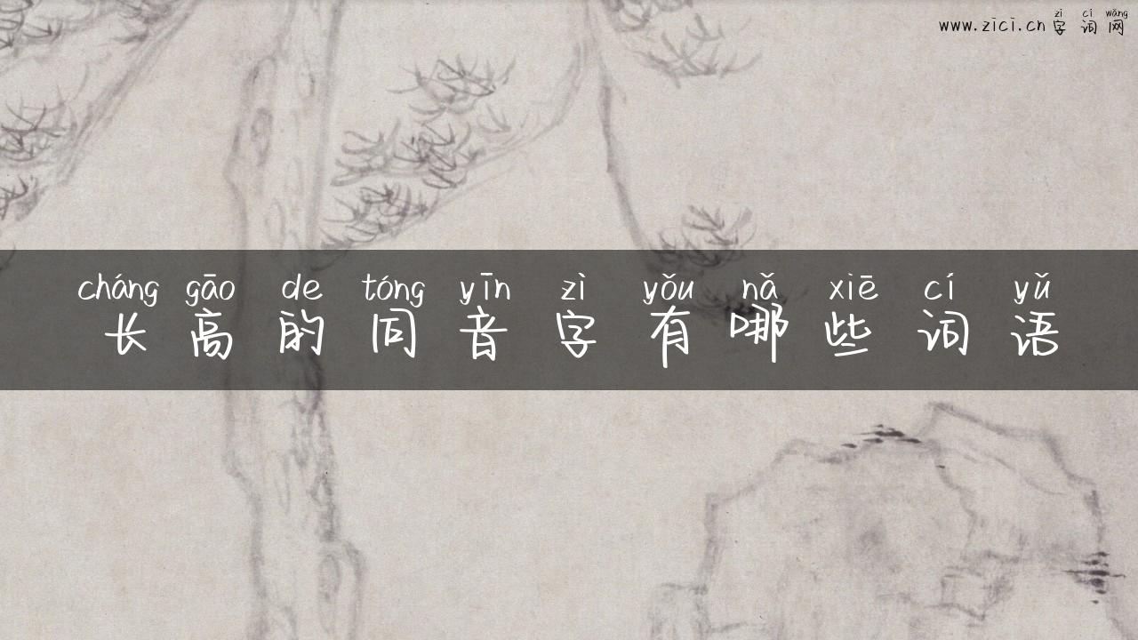 长高的同音字有哪些词语