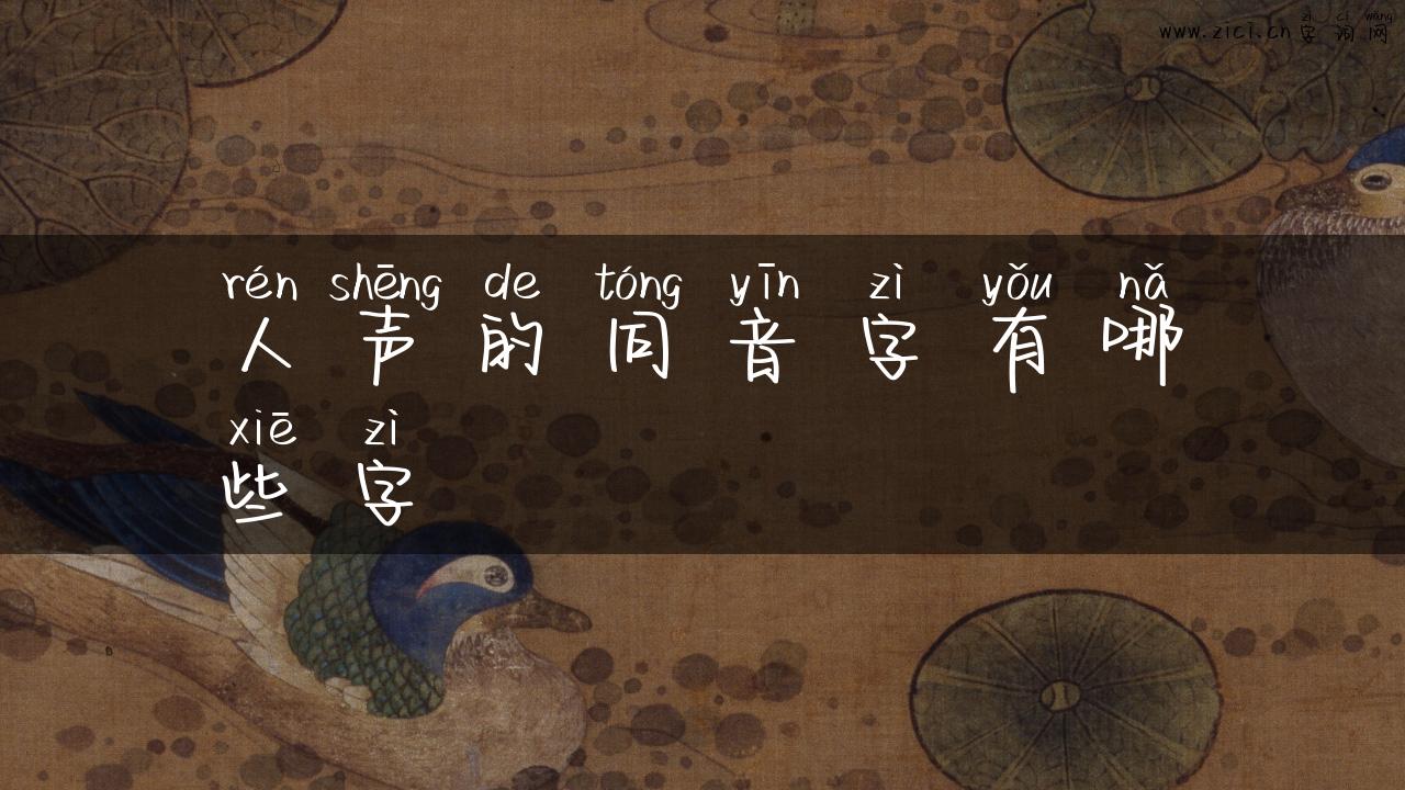 人声的同音字有哪些字