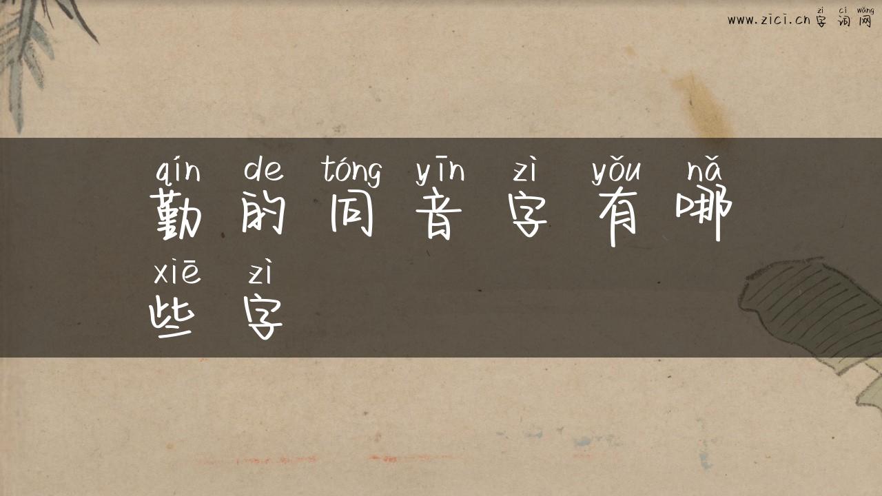 勤的同音字有哪些字
