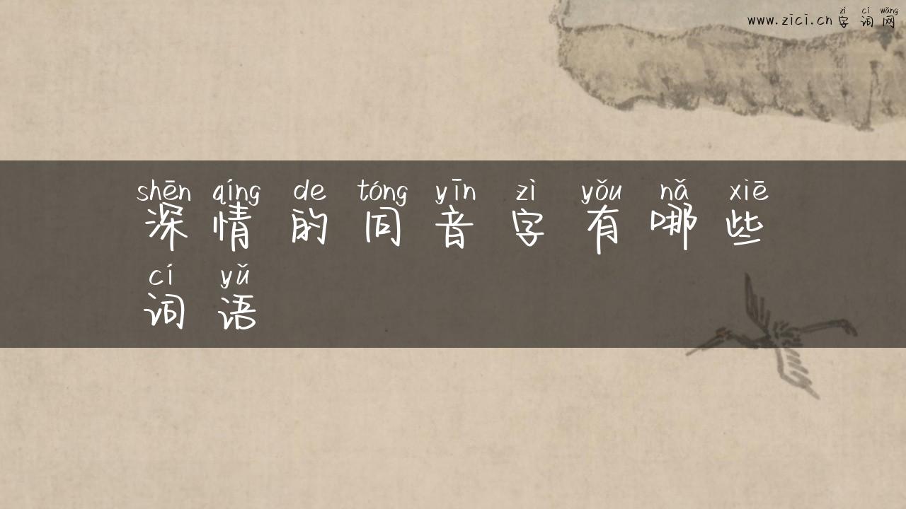 深情的同音字有哪些词语