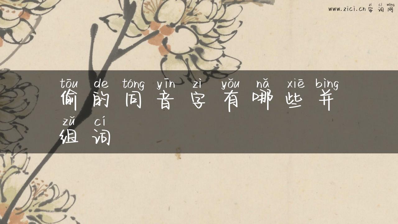 偷的同音字有哪些并组词