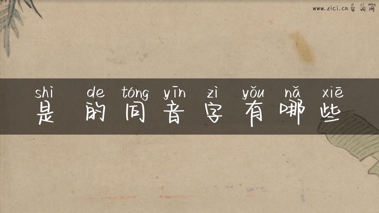 是 的同音字有哪些