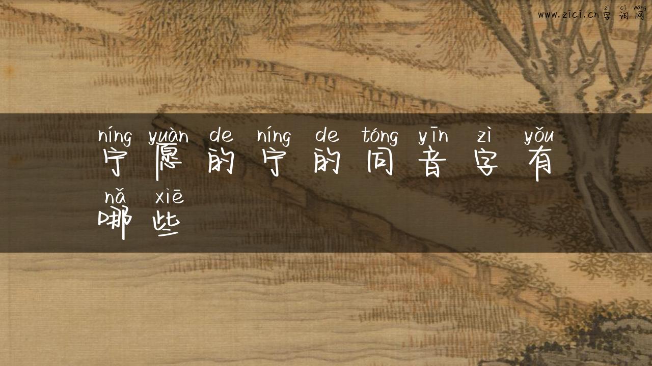 宁愿的宁的同音字有哪些