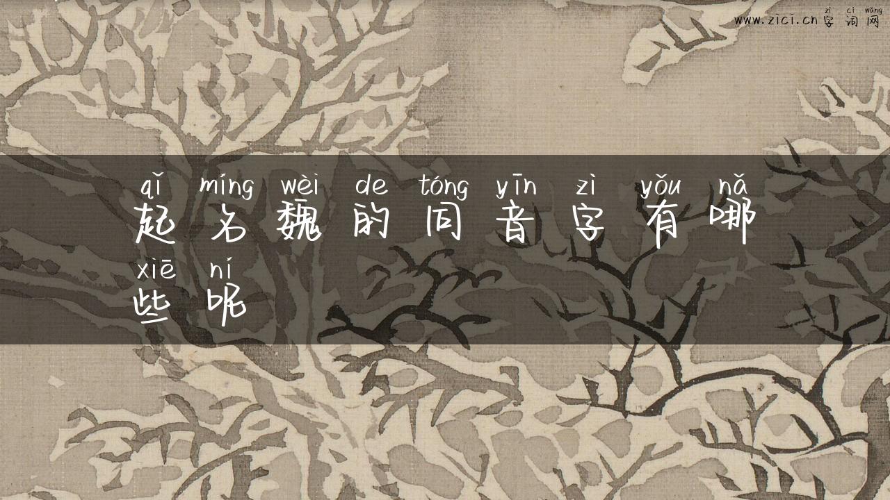 起名魏的同音字有哪些呢