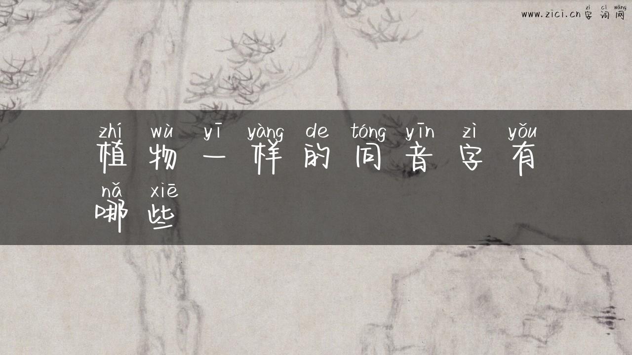 植物一样的同音字有哪些