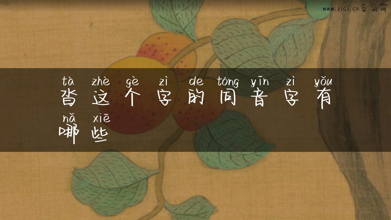 沓这个字的同音字有哪些