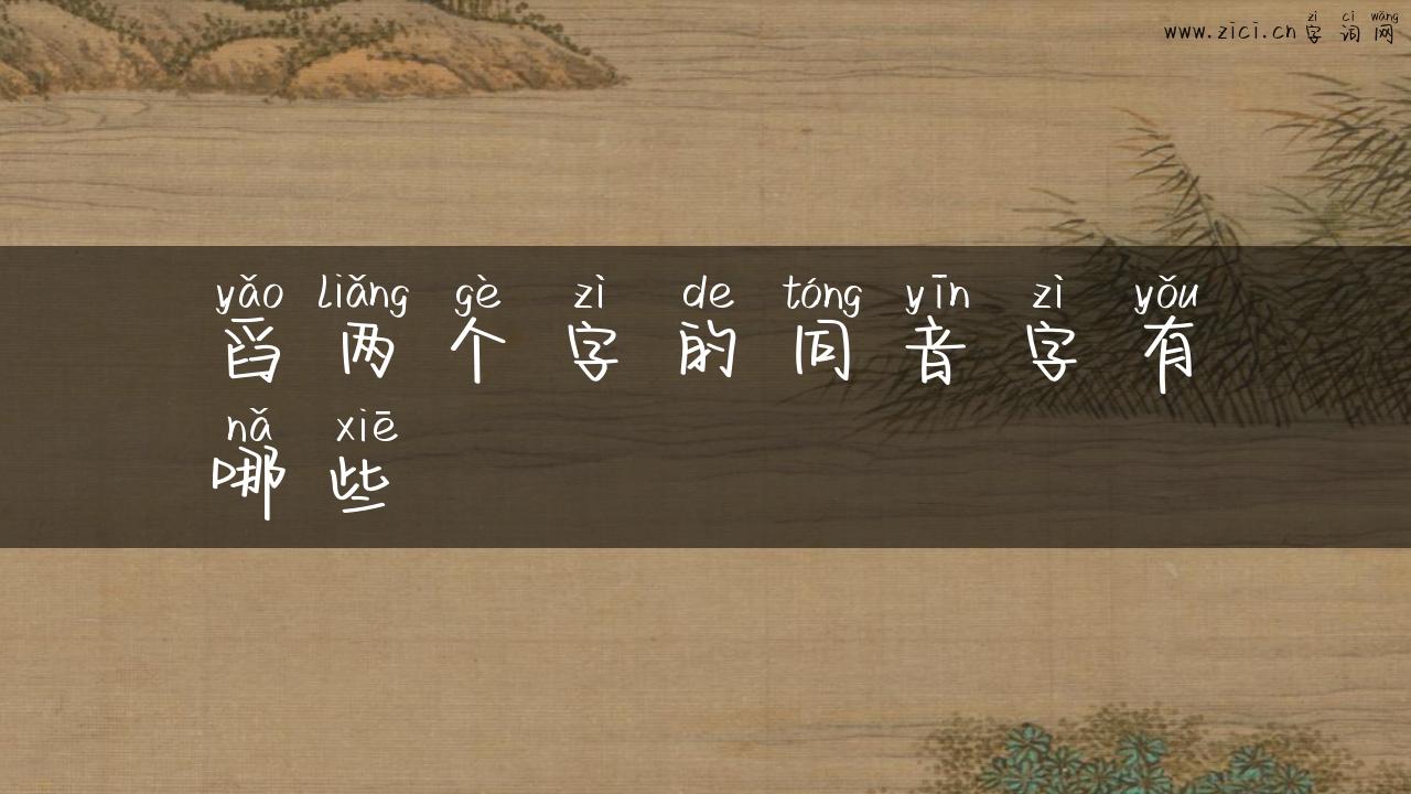 舀两个字的同音字有哪些