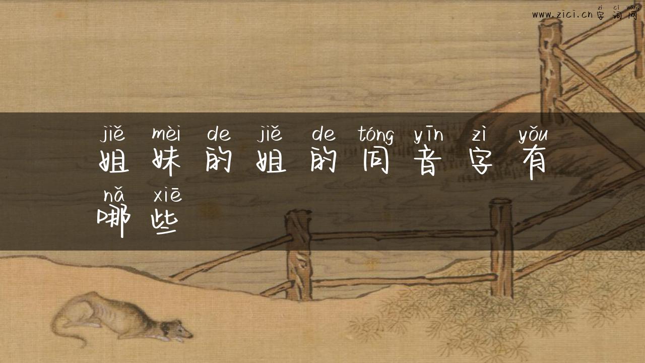 姐妹的姐的同音字有哪些