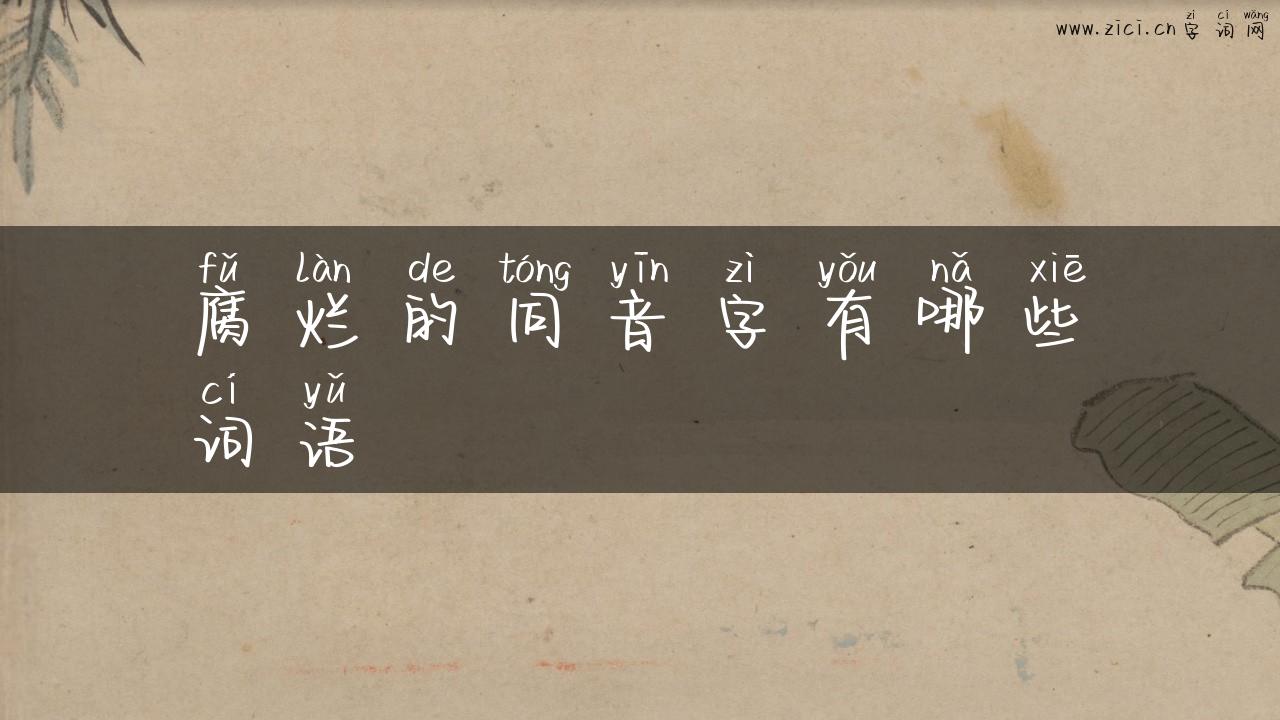 腐烂的同音字有哪些词语